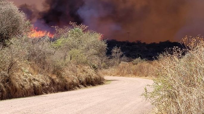 Continúan activos los incendios de La Granja y Tala Cañada