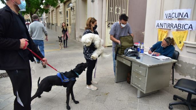 Terminaron de vacunar contra la rabia a 2.983 animales