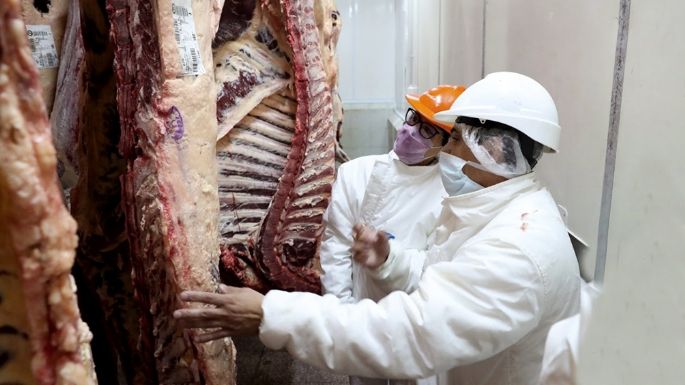 Las exportaciones de carne vacuna crecieron casi 25% en septiembre