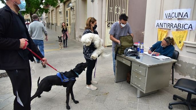 Casi 3.000 mascotas fueron vacunadas contra la rabia