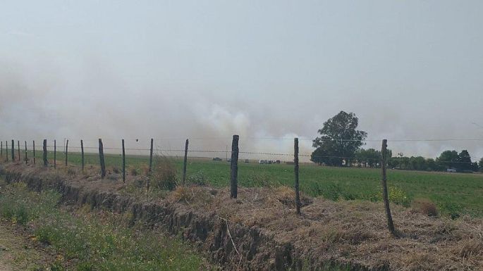 Río Segundo: arde un campo con rastrojos de maíz