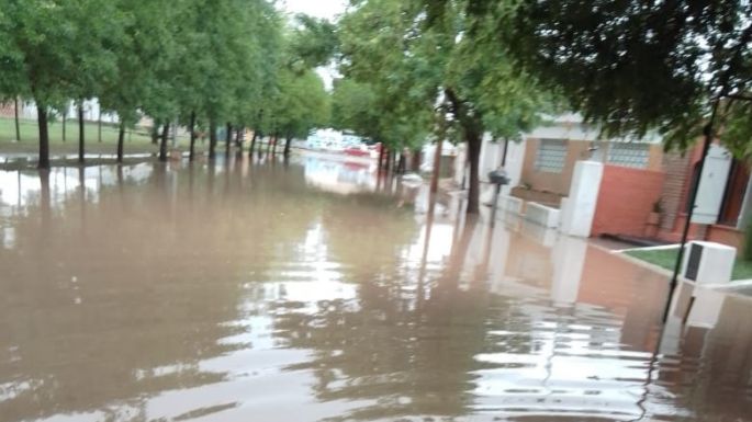 "Estamos con el agua hasta el cuello", en calle Granaderos Argentinos