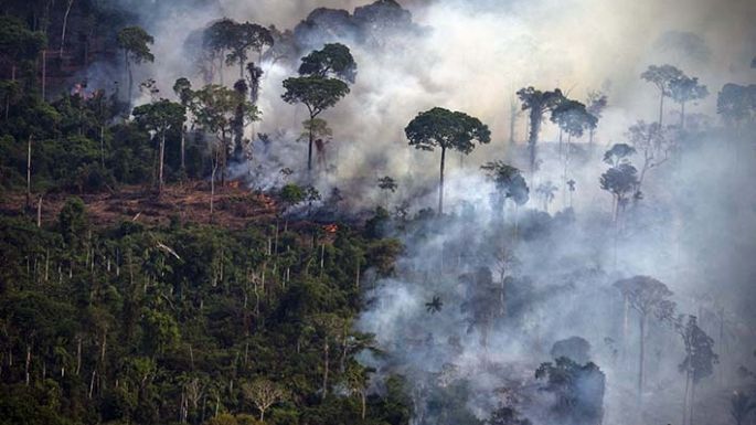 Deforestación récord de la selva amazónica en octubre