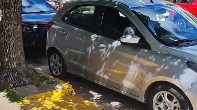Filmó a dos autos que obstaculizan sendas rampas para discapacitados motrices