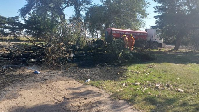 Oliva: Incendio en un campo