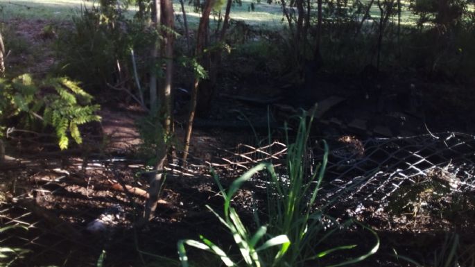 Oliva: Incendio en un campo