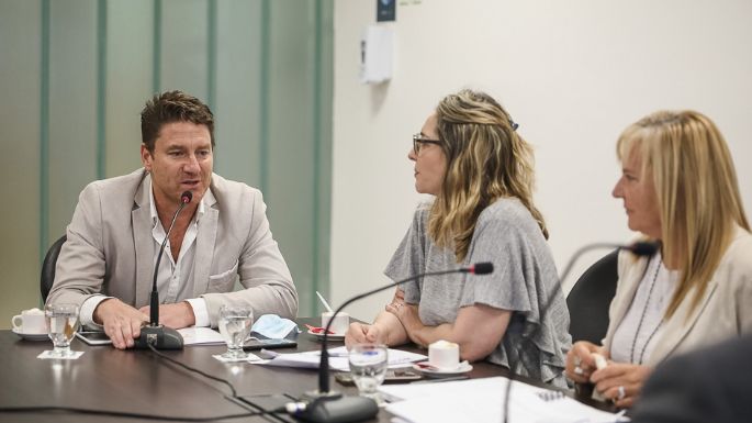 Accastello presentó el proyecto de Promoción Industrial en la Legislatura