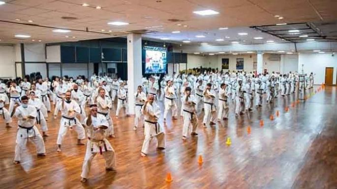 Karatecas locales en evento internacional