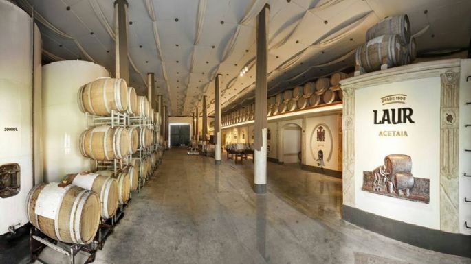 Una empresa de Mendoza encabeza el ranking de las 100 mejores olivícolas del mundo