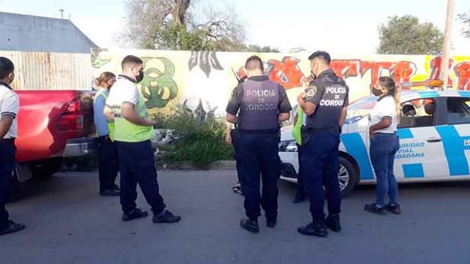 Denuncias e investigación por animales muertos