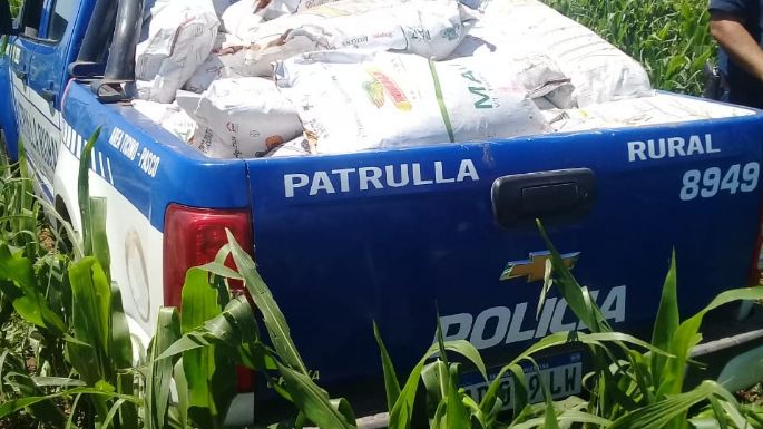 Detuvieron a un hombre por el robo de 50 bolsas de semillas de maíz para siembra