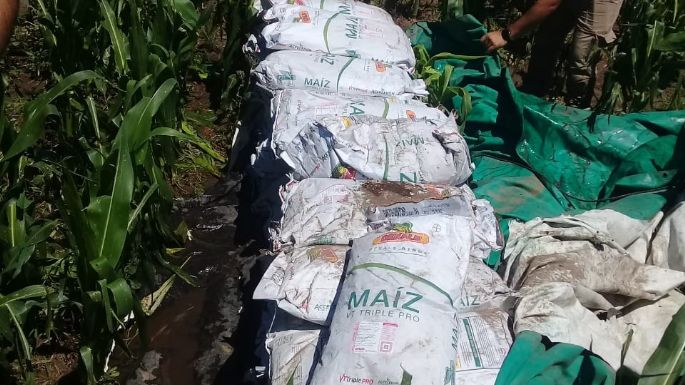 Detuvieron a un hombre por el robo de 50 bolsas de semillas de maíz para siembra