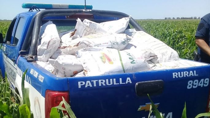 Detuvieron a un hombre por el robo de un millón y medio de pesos en semillas de maíz