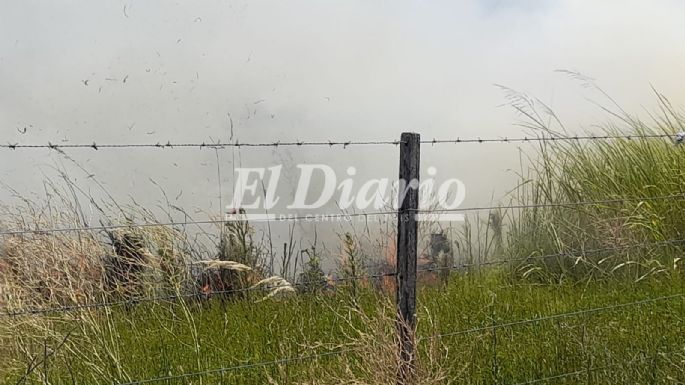 AHORA - Incendio en un campo detrás de las 400 Viviendas