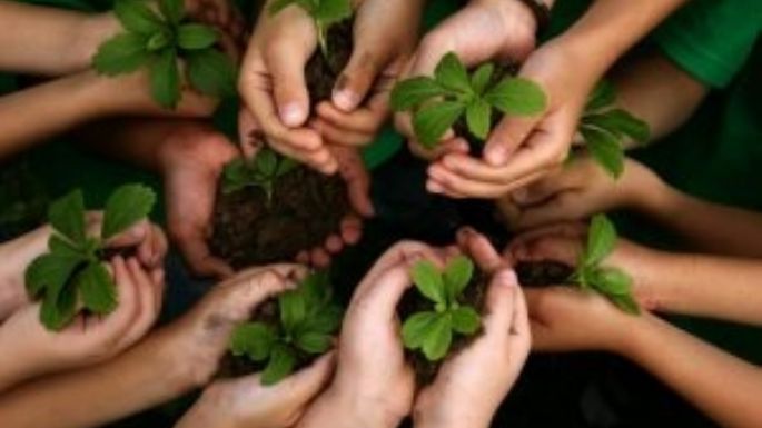 Capacitación ambiental