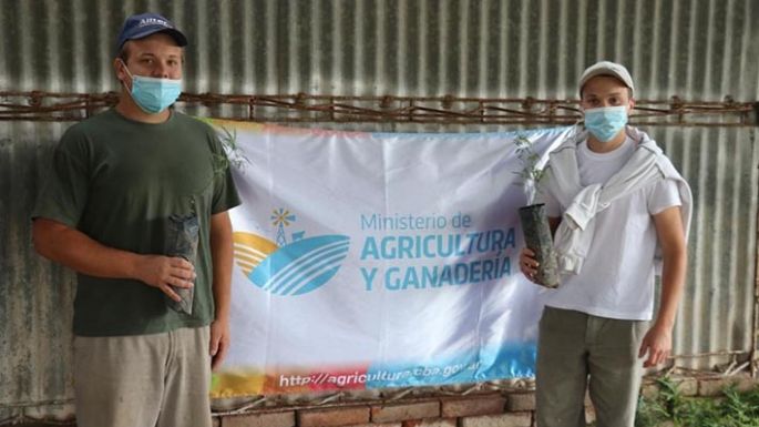 Entregaron más de 32 mil  árboles a 184 productores