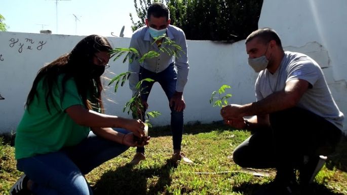 Funcionarios participaron en plantación de árboles en plazoletas