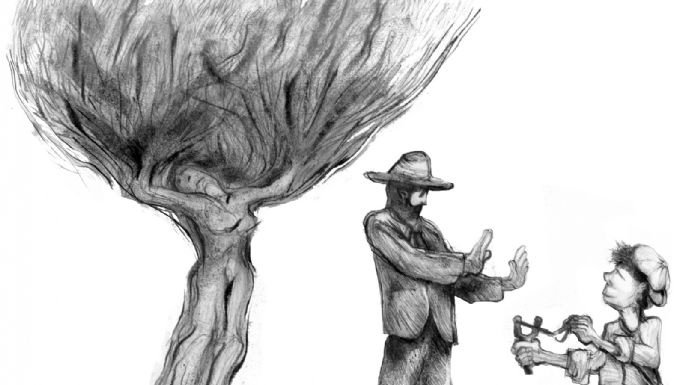 Incorporación de lo ecológico en los estudios históricos locales