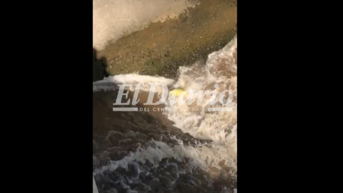 [VIDEO] Pudieron ver un Dorado en el rio Ctalamochita