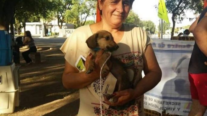 El CAM volverá a la costa para incentivar la adopción responsable