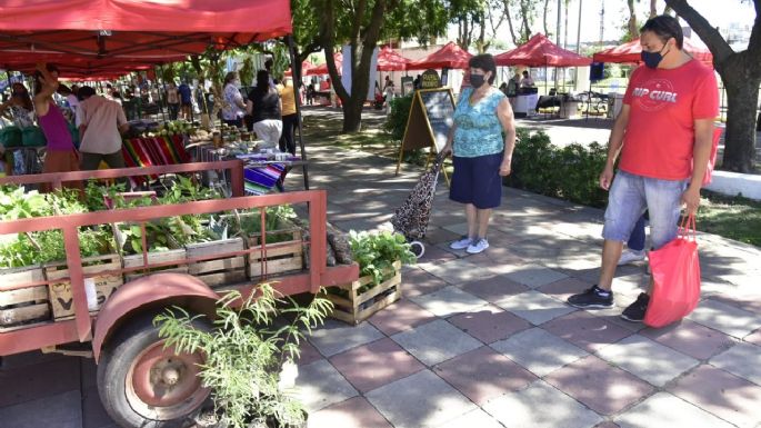 Se realizó una nueva Feria Franca en la plaza Independencia