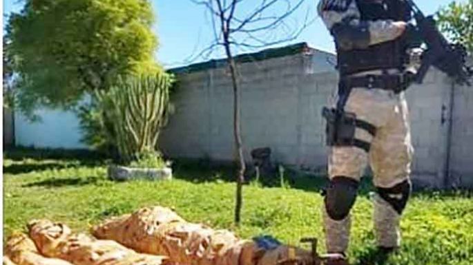 Secuestraron 3.568 dosis de marihuana