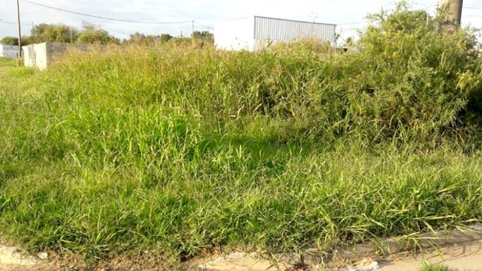 Bello Horizonte: quejas por el estado de la plaza y baldíos