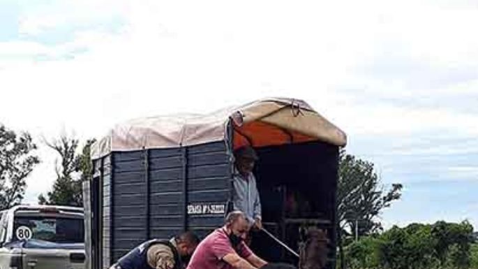 Rescate total