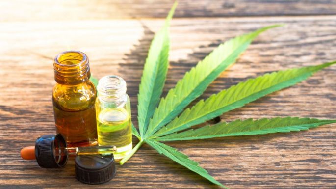 Reglamentaron el registro de autocultivo de cannabis medicinal