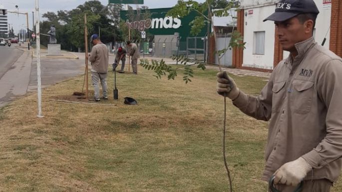 Comenzó el plan de reforestación en avenida Carranza