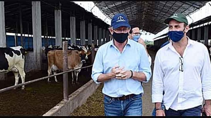 La leche vuelve a la discusión