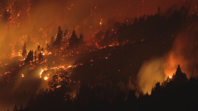 Declaran emergencia ígnea por un año