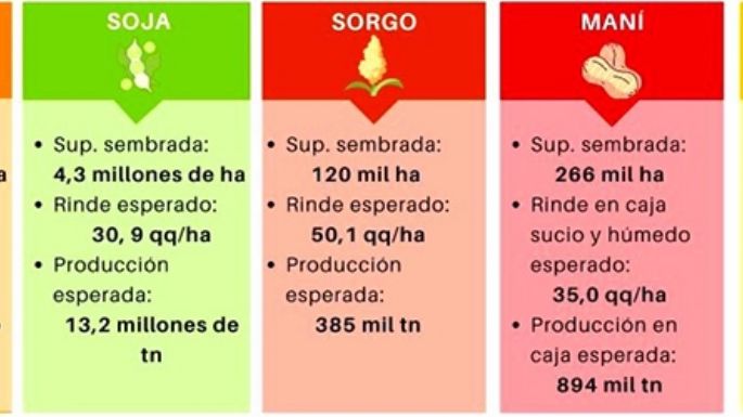 Los efectos de La Niña