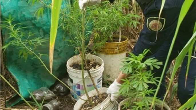 Tres detenciones en Arroyo Cabral en dos procedimientos antidrogas