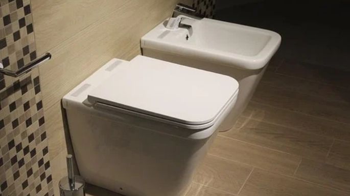 Cómo elegir un bidet