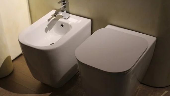 Cómo elegir un bidet