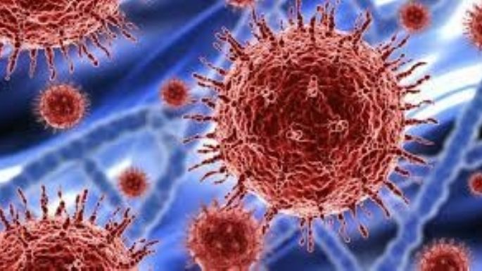 Argentina: 153 fallecidos y 9.405 personas fueron diagnosticadas con coronavirus