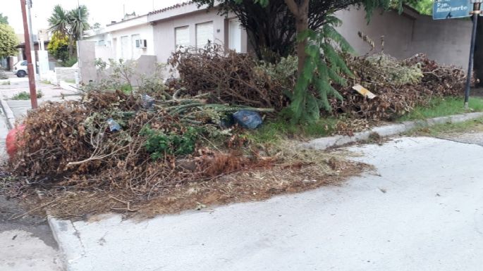 Vecinos desaprensivos: Convirtieron un espacio verde en su depósito de mugre