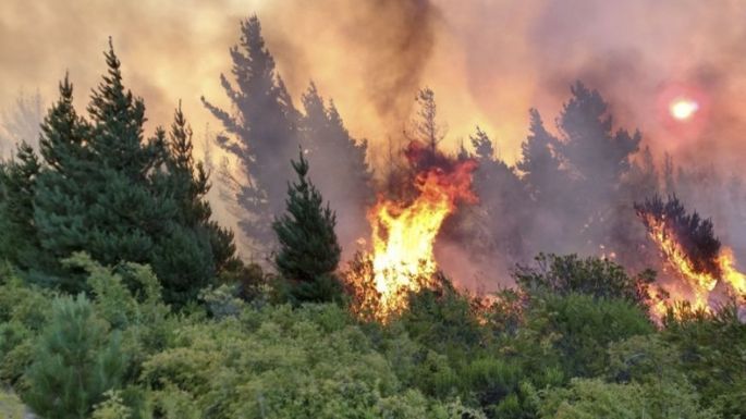 Se extinguió foco de Lago Argentino en Santa Cruz