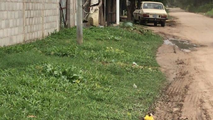 Desmalezado en los barrios