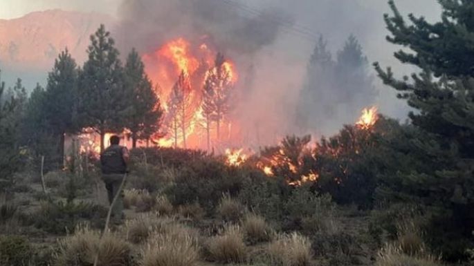 La declaración de emergencia por incendios en el sur es ley