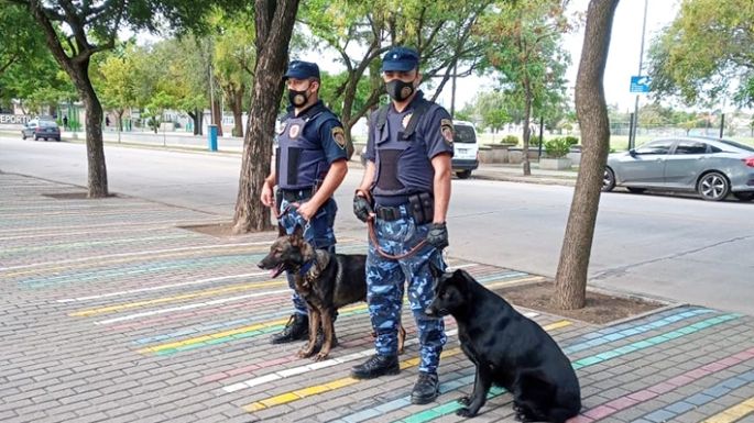 Oxi, Zoy, Saro, Akira y Artemisa también patrullarán las calles