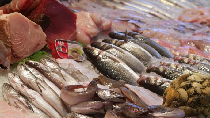 Estudio científico detectó residuos de 42 fármacos en peces que se consumen en Córdoba