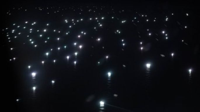 Ciudad de luces en el Mar Argentino: así depredan nuestras aguas