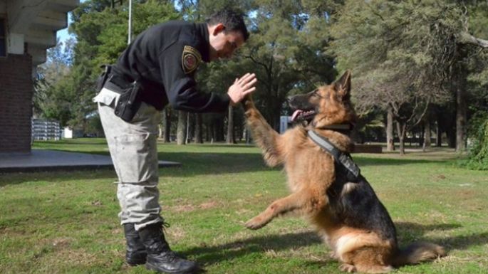 Murió Saro, el condecorado perro de la Departamental San Martín