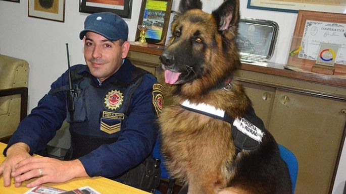 Murió Saro, el perro policía más famoso de la Departamental