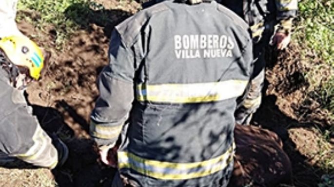 Bomberos rescataron a una yegua