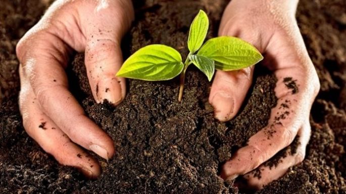 Organizan un taller de compostaje abierto a la comunidad