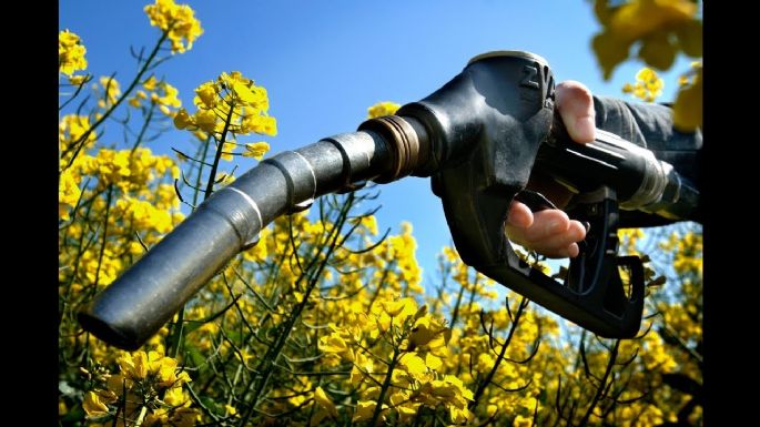 Biocombustibles en la agenda que abordarán los líderes mundiales