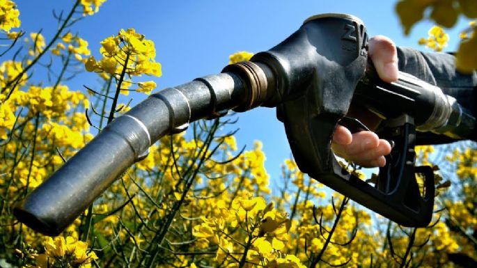Rechazo al nuevo régimen de biocombustibles, sin el oficialismo